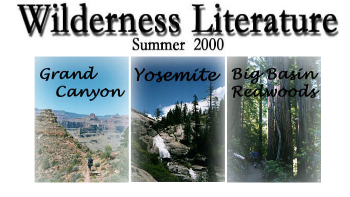 Wilderness video homepage